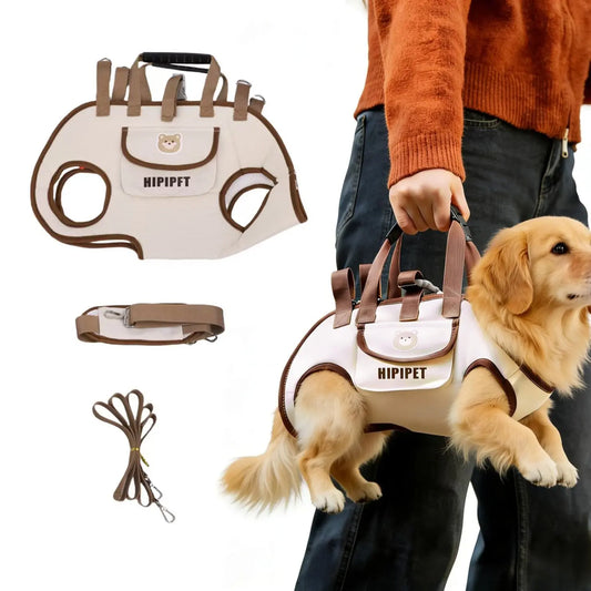 Portable Pet Carrier Backpack, Outdoor Breathable Dog Cat Bag, Adjustable Shoulder Strap, Lightweight Travel Gear, Lomi Color/Lion