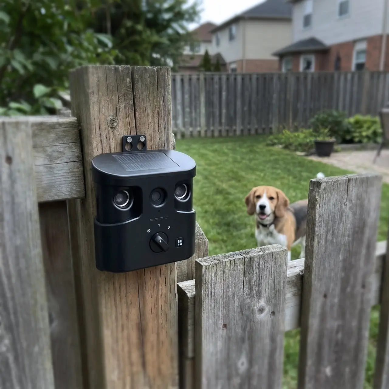 180° Solar Dog Barking Control Device-Outdoor anti Barking Device for All Dog Breeds, Humane No-Bark Trainer, IPX4 Waterproof, Ultrasonic Dog Barking Deterrent with APP Data Report, Dual Speakers & Adjustable Frequency, Dog Accessories